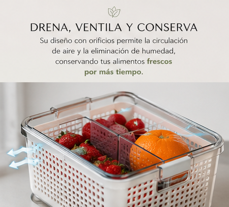 Organizador Fresh Luxity